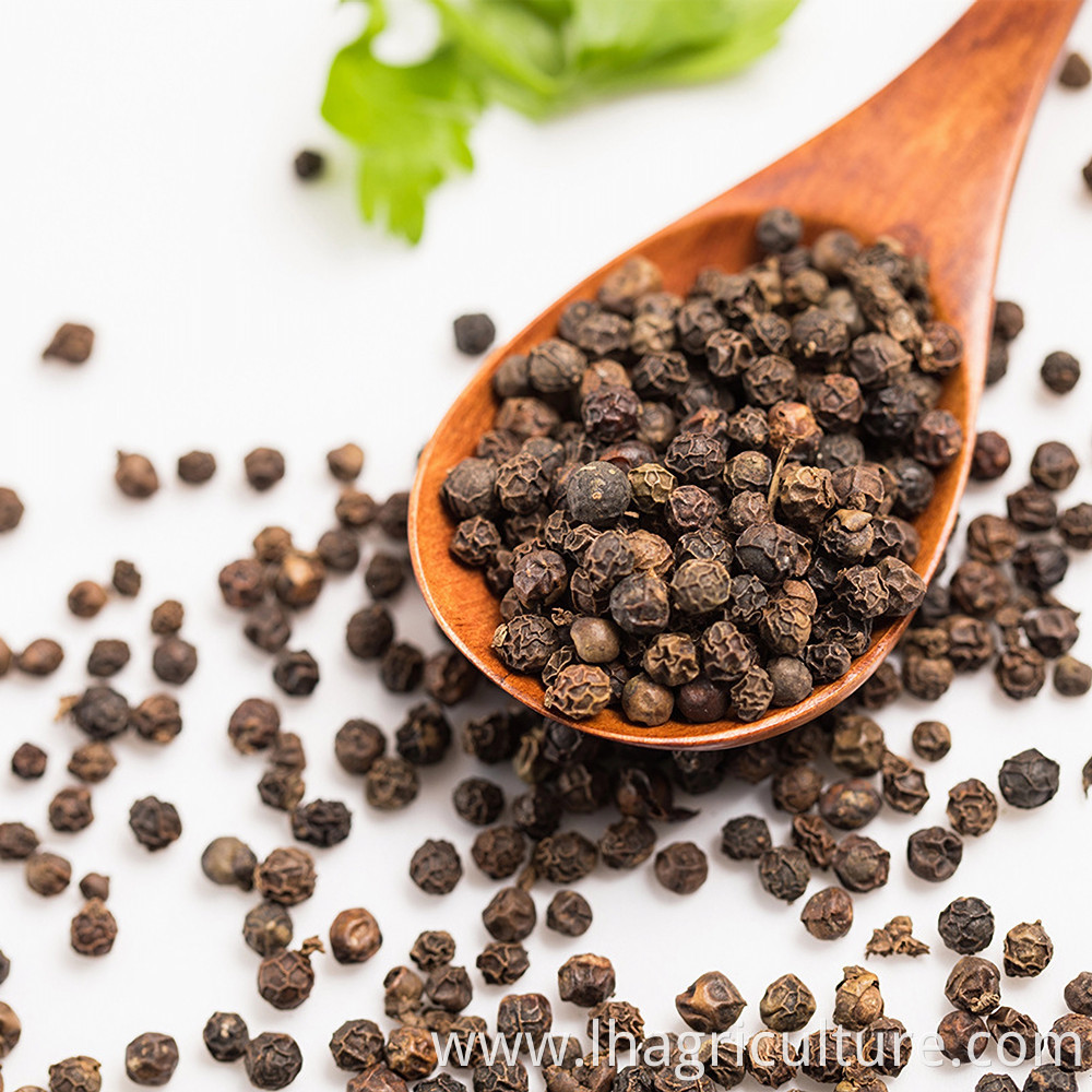 Black Pepper Spices